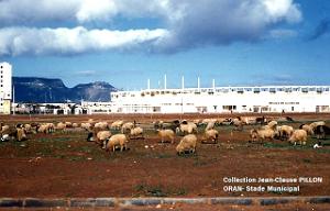 ORAN STADE2